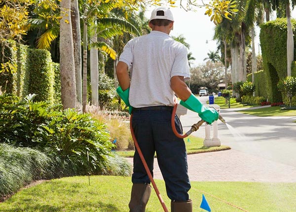 About Loretto TN Pest Control Pros